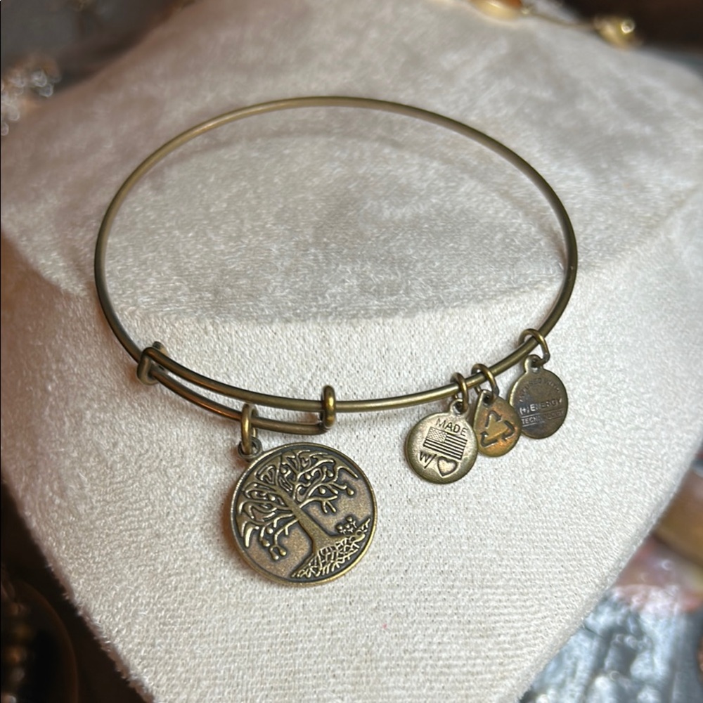 Alex and Ani Energy Gold Charm Bangle Bracelet